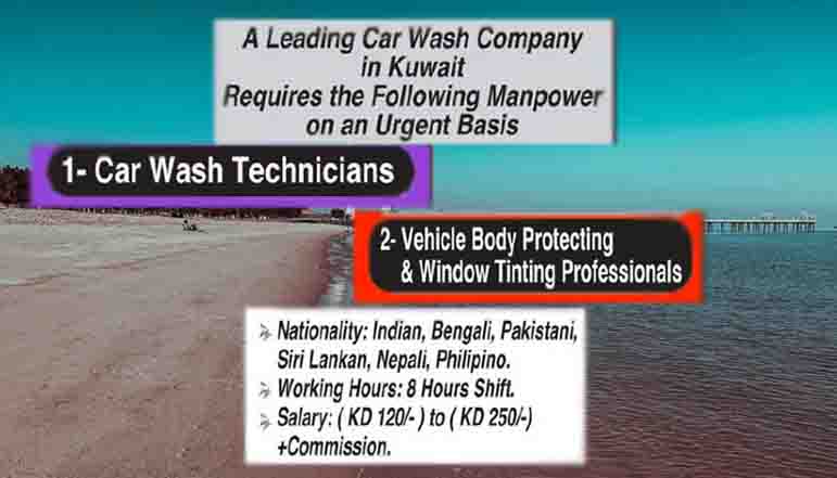 You are currently viewing Job at Car Wash Company